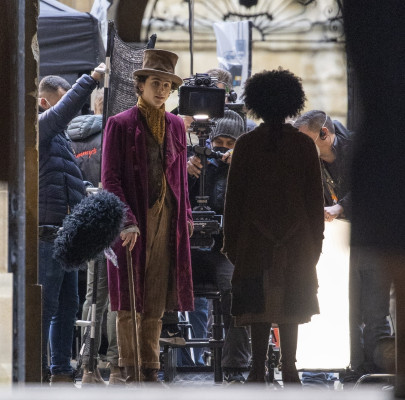 Timothee Chalamet pic #1298233