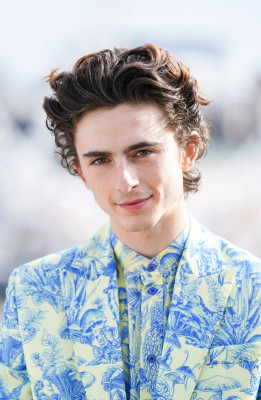 Timothee Chalamet pic #1275786