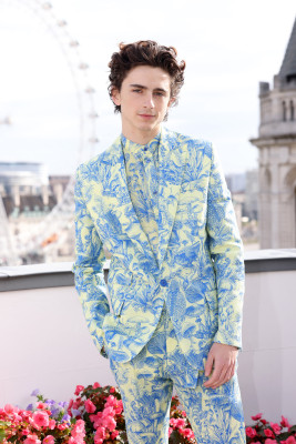 Timothee Chalamet pic #1275784