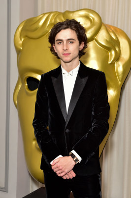 Timothee Chalamet pic #1362493