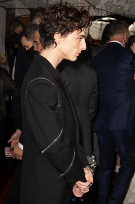 Timothee Chalamet pic #1276442
