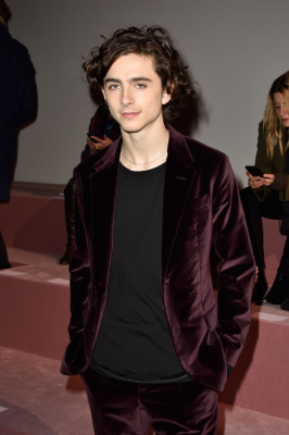 Timothee Chalamet pic #1293225