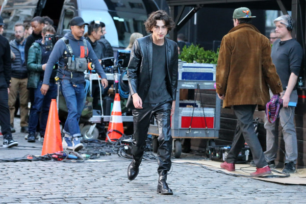 Timothee Chalamet pic #1334815