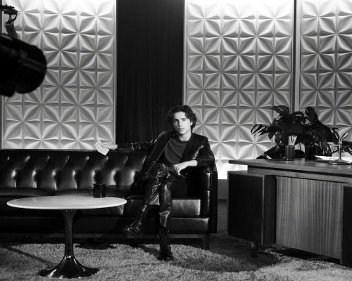 Timothee Chalamet pic #1344855