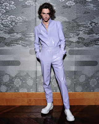 Timothee Chalamet pic #1340165