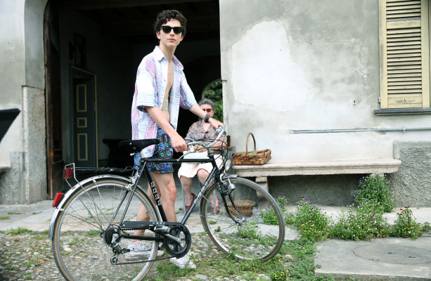photo 23 in Timothee Chalamet gallery [id1304458] 2022-07-06 00:00:00