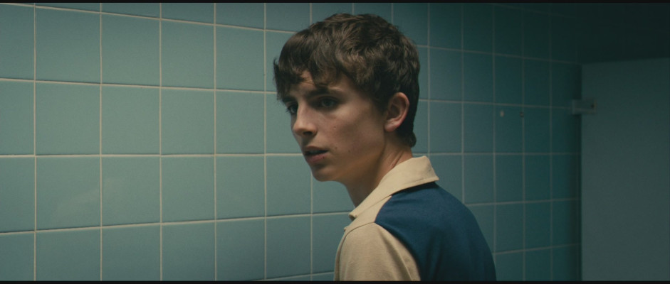 Timothee Chalamet pic #1307788