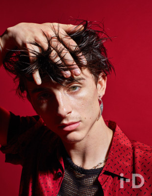 Timothee Chalamet pic #1325524