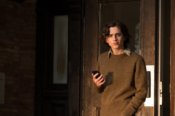 Timothee Chalamet pic #1319852