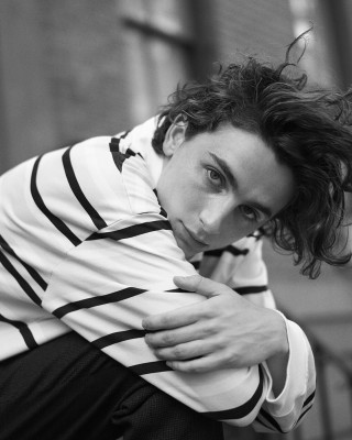 photo 28 in Chalamet gallery [id1292298] 2022-01-10 00:00:00