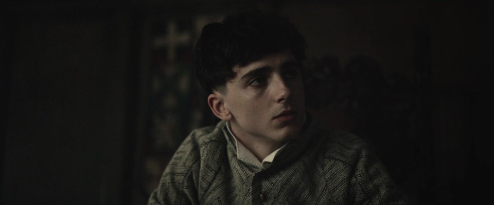 Timothee Chalamet pic #1309024