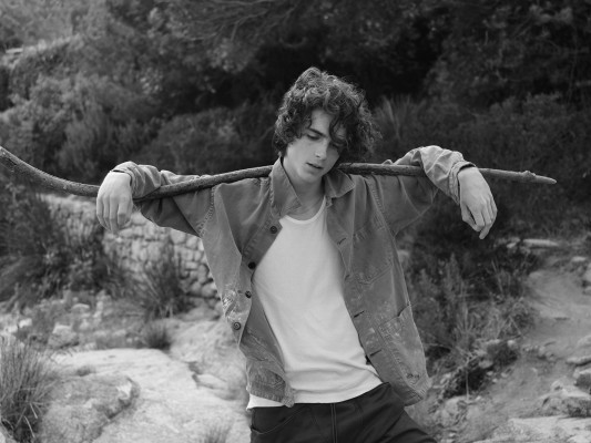 Timothee Chalamet pic #1356246