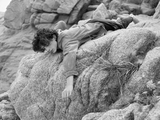 Timothee Chalamet pic #1356244
