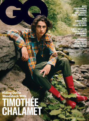 Timothee Chalamet pic #1295859