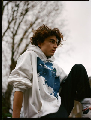 Timothee Chalamet pic #1290163