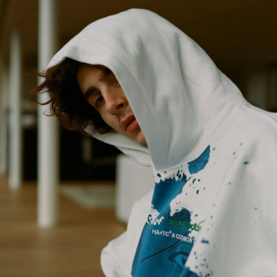 Timothee Chalamet pic #1290162