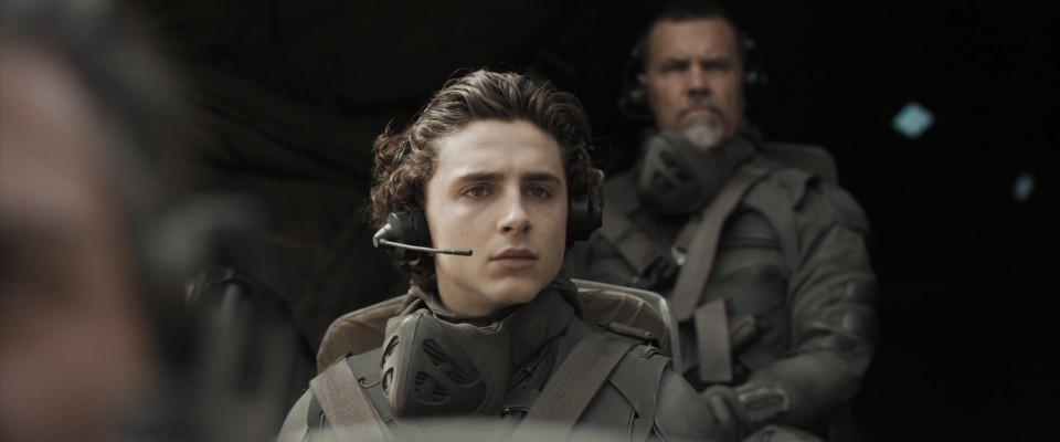 Timothee Chalamet pic #1309493