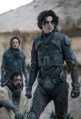 Timothee Chalamet pic #1303468