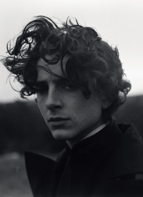 Timothee Chalamet pic #1354436