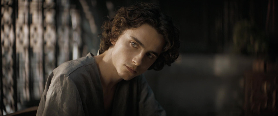 photo 27 in Timothee Chalamet gallery [id1309500] 2022-09-15 00:00:00