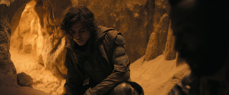 Timothee Chalamet pic #1328423