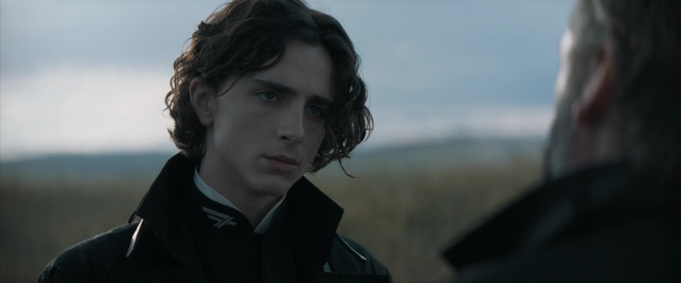Timothee Chalamet pic #1362631