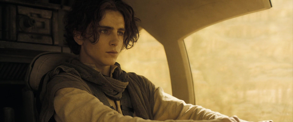 Timothee Chalamet pic #1362632