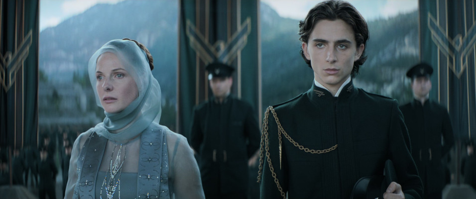 Timothee Chalamet pic #1328425