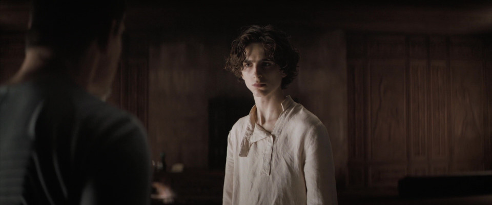 Timothee Chalamet pic #1309494