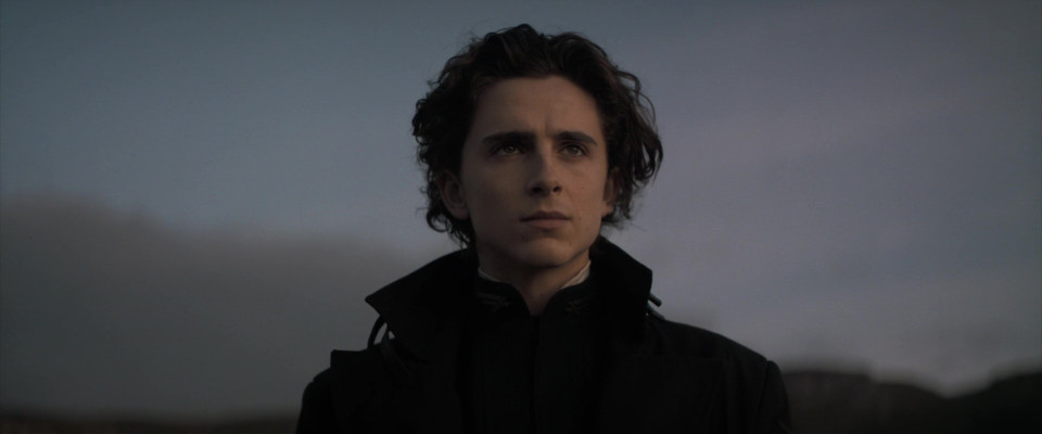 photo 28 in Chalamet gallery [id1309499] 2022-09-15 00:00:00