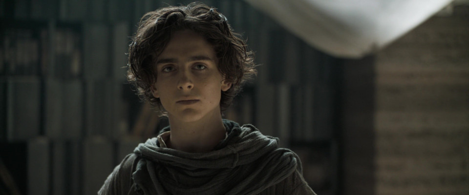 photo 6 in Timothee gallery [id1309491] 2022-09-15 00:00:00