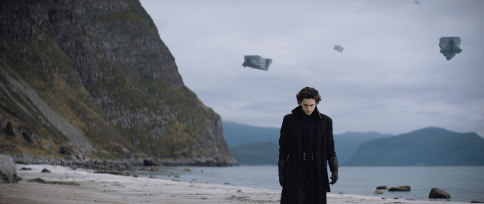Timothee Chalamet pic #1269037