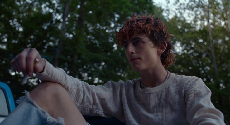 Timothee Chalamet pic #1326309