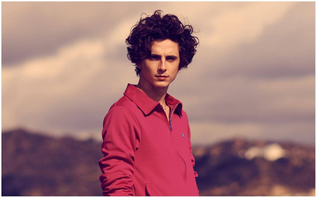 Timothee Chalamet pic #1329621