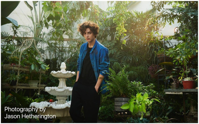 Timothee Chalamet pic #1323277