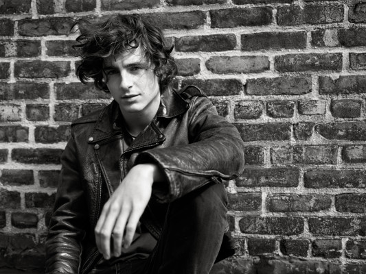 Timothee Chalamet pic #1328673