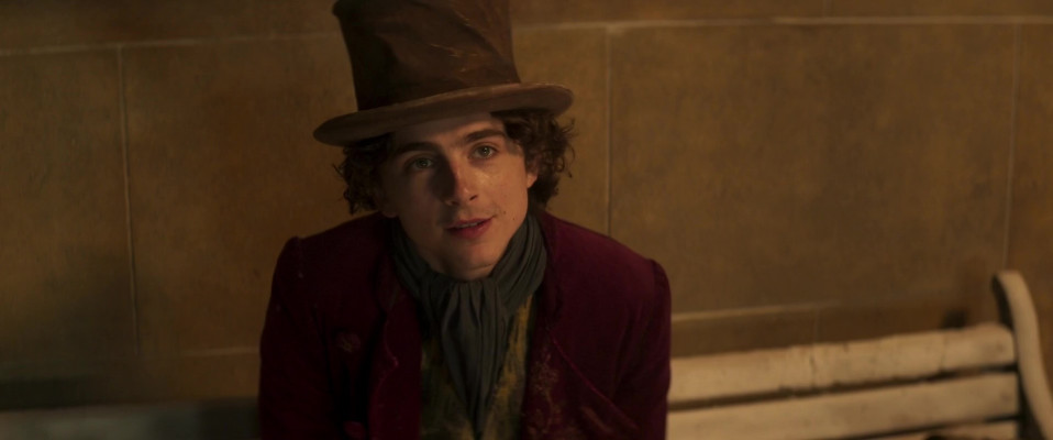 Timothee Chalamet pic #1351244