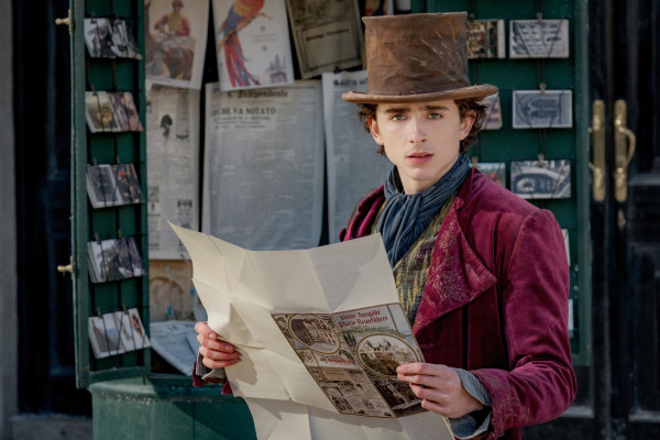 Timothee Chalamet pic #1344076
