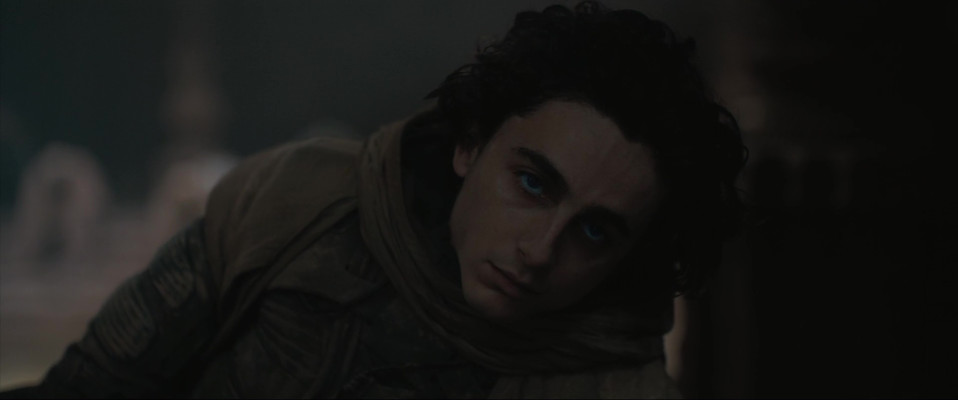 Timothee Chalamet pic #1350980