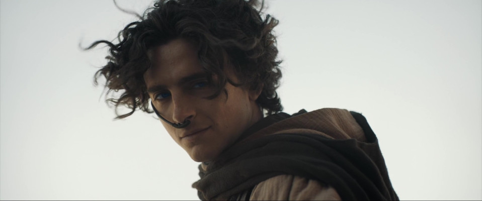Timothee Chalamet pic #1352484
