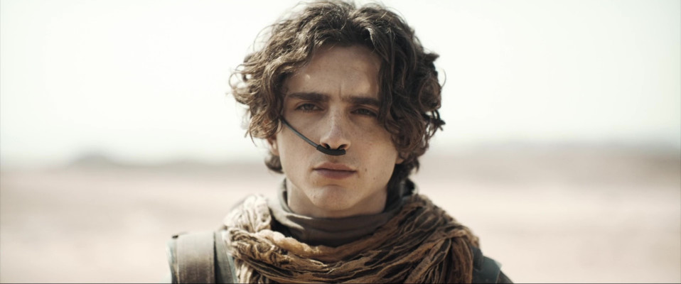 Timothee Chalamet pic #1350979