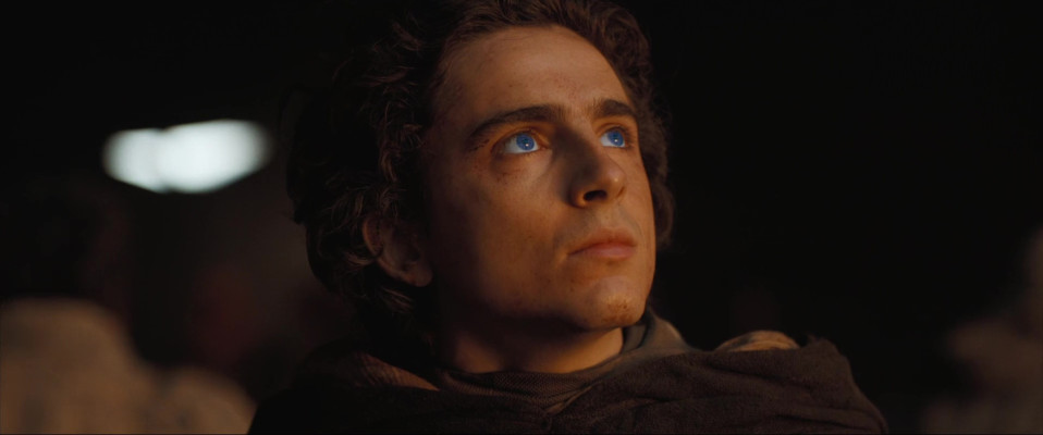 Timothee Chalamet pic #1350978