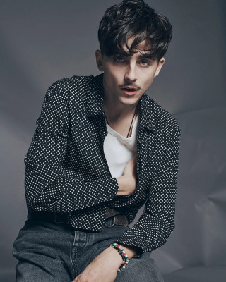Timothee Chalamet pic #1365759