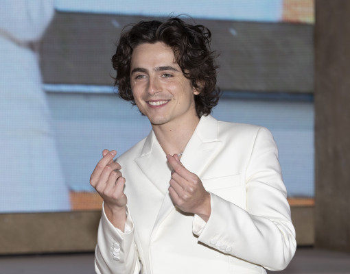 Timothee Chalamet pic #1347617