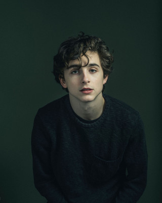 Timothee Chalamet pic #1320799