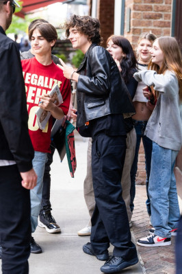 Timothee Chalamet pic #1328265