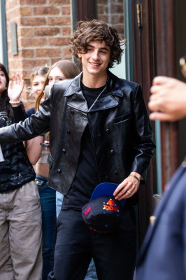 Timothee Chalamet pic #1328266