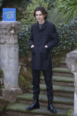 Timothee Chalamet pic #1279483