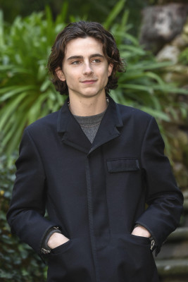 Timothee Chalamet pic #1279486