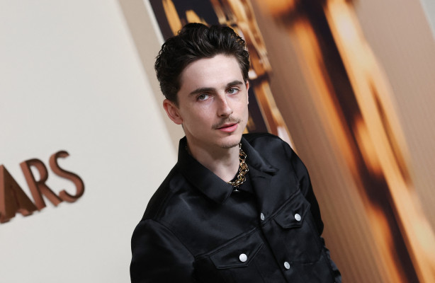 Timothee Chalamet pic #1369792
